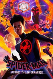 Spider-Man: Across the Spider-Verse 2023