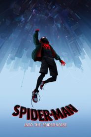 Spider-Man: Into the Spider-Verse 2018